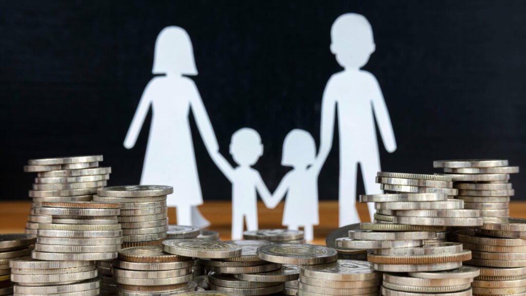 IRS Payment Guide